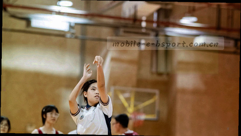 球场抽象纹理与高亮数据点